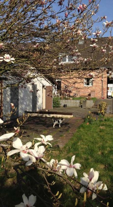 Ferienwohnung Mit Garten In Koeln Zewnętrze zdjęcie